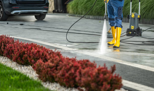 Best Dumpster Area Cleaning  in Dallas, TX
